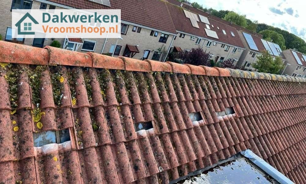 Een dakrenovatie bij oud pannendak Een dakrenovatie bij oud pannendak in Vroomshoop